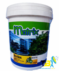 Bestseal 41 - Sơn nước nội thất cao cấp