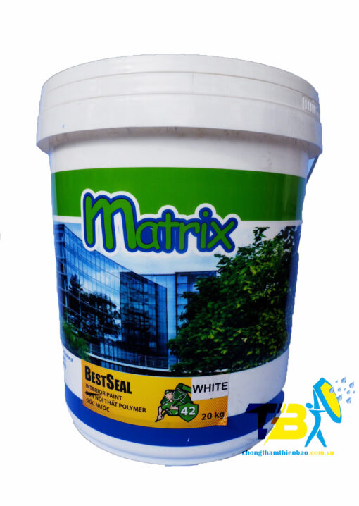 Bestseal 41 - Sơn nước nội thất cao cấp