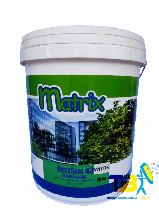 Bestseal 43 - Sơn nước ngoại thất cao cấp