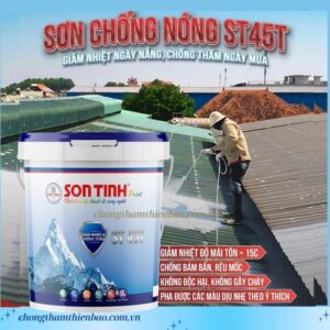 SƠN CHỐNG NÓNG VÀ CHỐNG THẤM ST45T